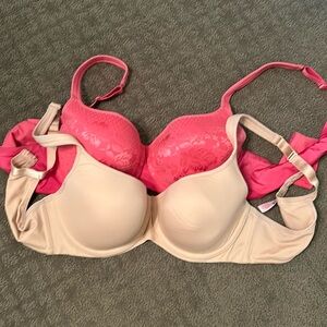 Essential Bodywear Bras 38C